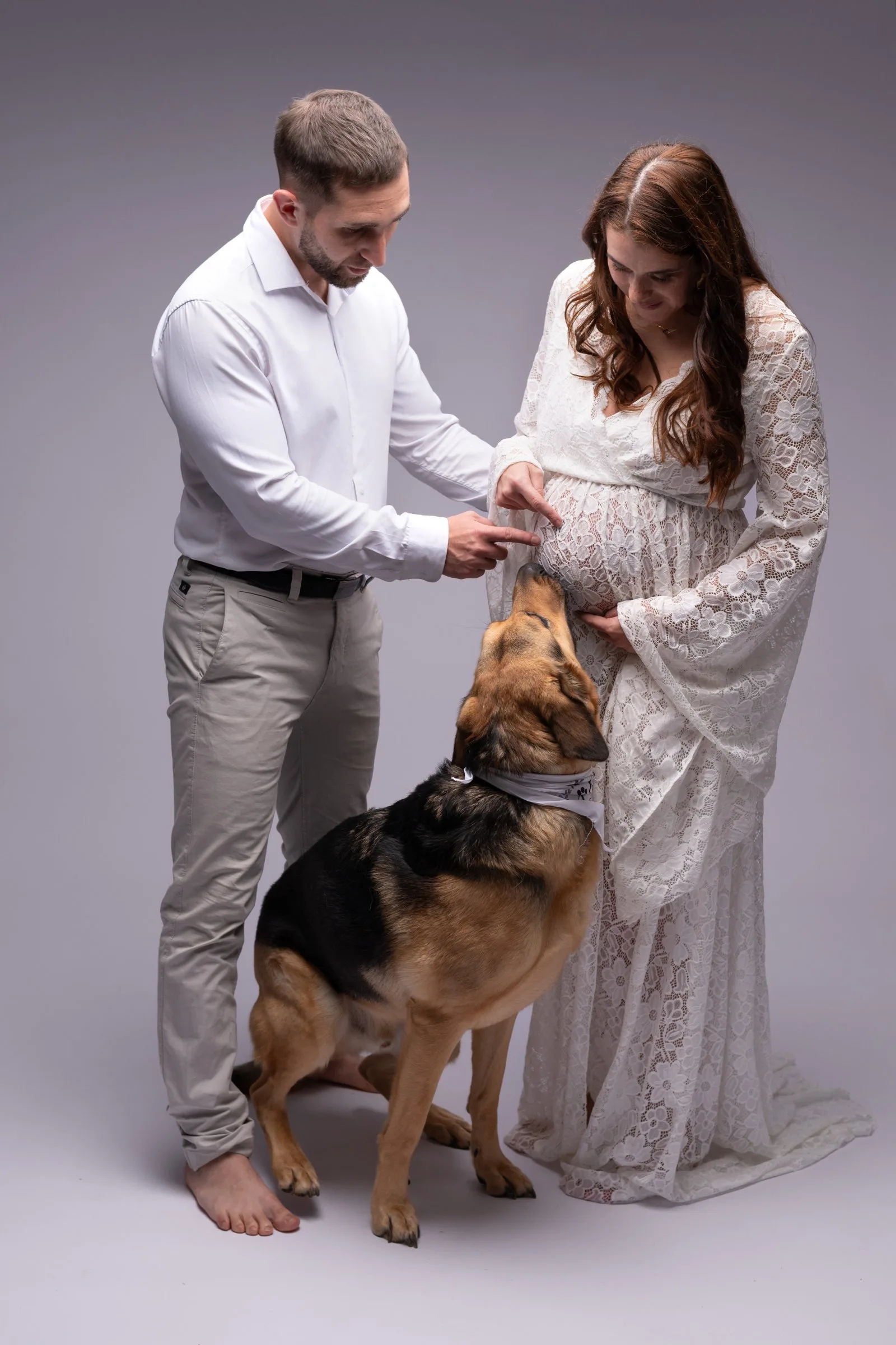 Portrait grossesse de couple accompagné de leur chien qui appuie le museau sur le ventre arrondi de la femme, par AEL Photos en studio au Faou