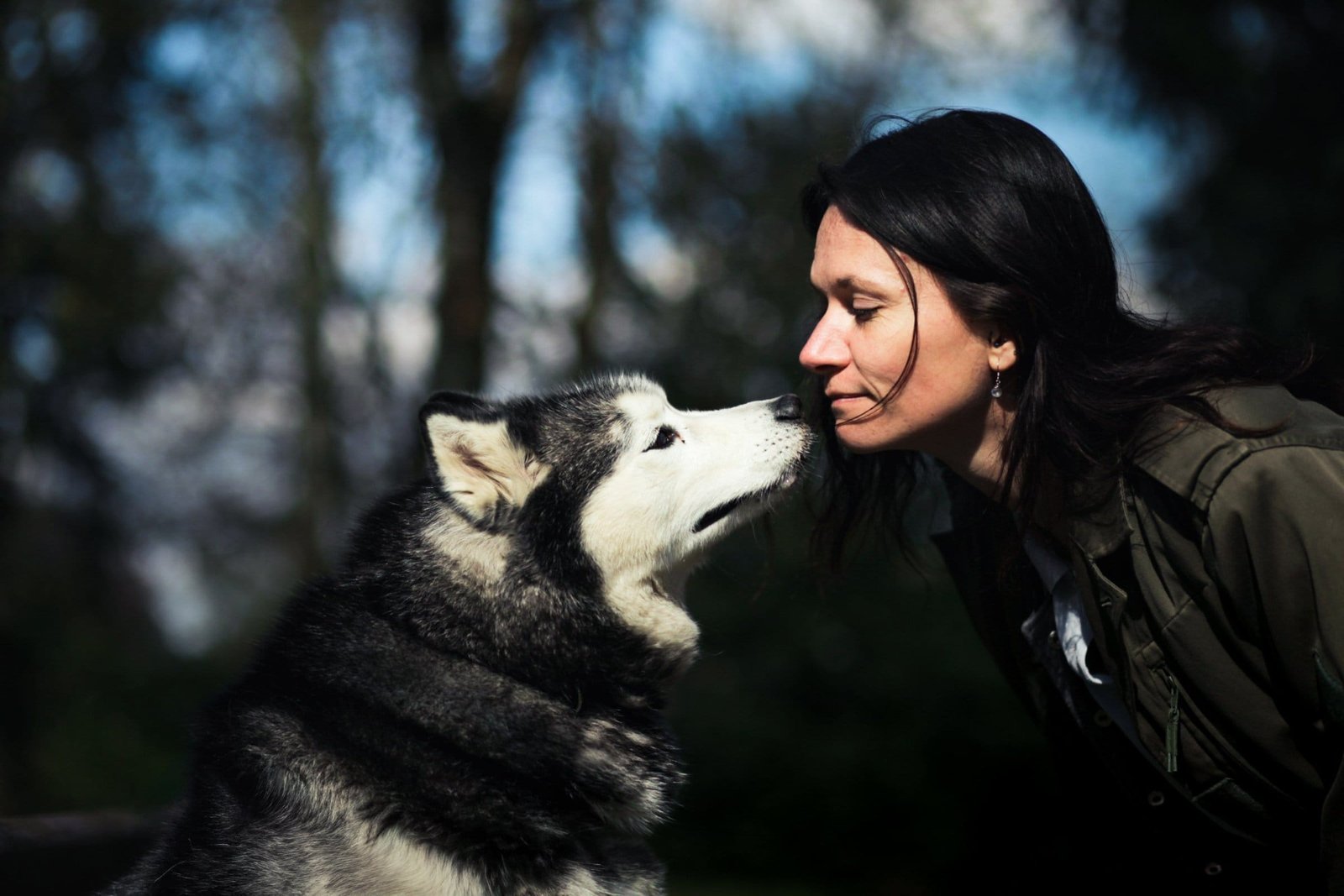 Portrait artistique d'un chien avec sa maîtresse réalisé en extérieur dans le Finistère par AEL Photos et Breizh Korn Studio, photographe animalier en Bretagne