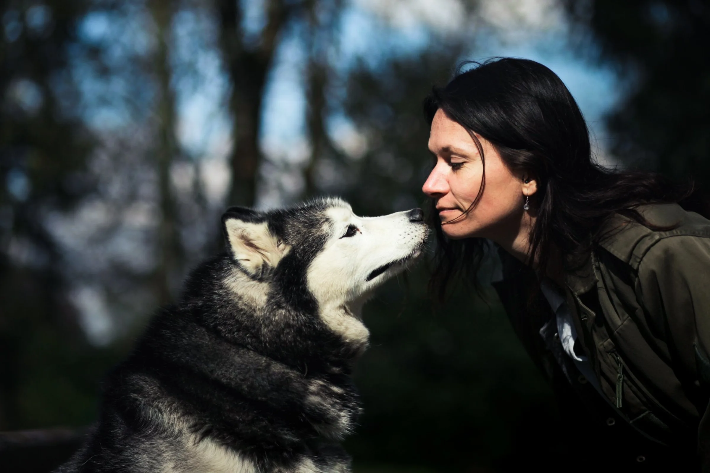 Portrait artistique d'un chien avec sa maîtresse réalisé en extérieur dans le Finistère par AEL Photos et Breizh Korn Studio, photographe animalier en Bretagne